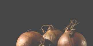 En İyi Sebze Doğrayıcılar: Vejeteryanlar ve Veganlar için En İyi Sebze Doğrayıcılar: Vejeteryanlar ve Veganlar için