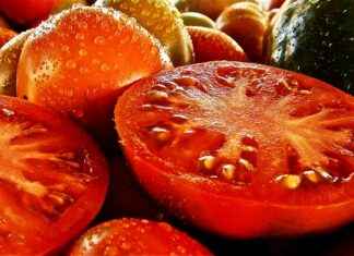 En İyi Sebze Doğrayıcıları Keşfedin En İyi Sebze Doğrayıcıları Keşfedin