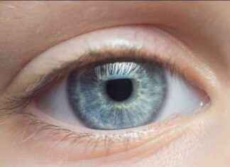 Diyabetik Retina Hastalığı Yaygınlığı Artıyor ama İleri Vakalar Azalıyor diyabetik-retina-hastal-yaygnl-artyor-ama-ileri-vakalar-azalyor