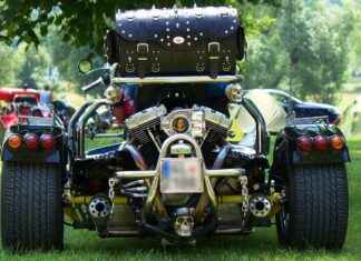 En İyi Sebze Doğrayıcıyı Seçmenin Yolları En İyi Sebze Doğrayıcıyı Seçmenin Yolları