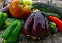 Pokémon’lerin Dünyası: En Sevilen Canavarlara Derin Bir Bakış Pokémon'lerin Dünyası: En Sevilen Canavarlara Derin Bir Bakış