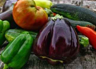 En İyi Sebze Doğrayıcılar ile Zaman Tasarrufu Nasıl Sağlanır? En İyi Sebze Doğrayıcılar ile Zaman Tasarrufu Nasıl Sağlanır?