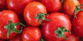 Sebze Doğrayıcılar Mutfakta Zamanınızı Nasıl Kurtarır? Sebze Doğrayıcılar Mutfakta Zamanınızı Nasıl Kurtarır?