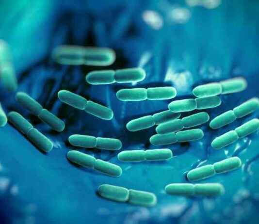 İki Aşamalı Dönüştürücü Modelle Sepsis Risk Değerlendirmesini İyileştirmek iki-aamal-dntrc-modelle-sepsis-risk-deerlendirmesini-iyiletirmek