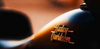 Elektrikli Sebze Doğrayıcılar Gerçekten De Değerli mi? Elektrikli Sebze Doğrayıcılar Gerçekten De Değerli mi?