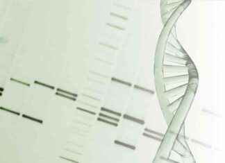 Kardiyak Koruma İçin Mitokondriyal DNA Bütünlüğü Hedefleniyor kardiyak-koruma-iin-mitokondriyal-dna-btnl-hedefleniyor