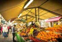 Hızlı ve Kolay Sebze Doğrayıcılar ile Sağlıklı Yemek Hazırlığı Hızlı ve Kolay Sebze Doğrayıcılar ile Sağlıklı Yemek Hazırlığı