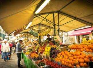 Hızlı ve Kolay Sebze Doğrayıcılar ile Sağlıklı Yemek Hazırlığı Hızlı ve Kolay Sebze Doğrayıcılar ile Sağlıklı Yemek Hazırlığı