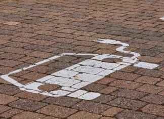 En İyi Elektrikli Sebze Doğrayıcılar: Hızlı ve Kolay Hazırlık için En İyi Elektrikli Sebze Doğrayıcılar: Hızlı ve Kolay Hazırlık için