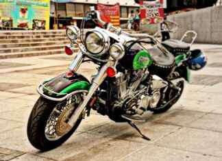 En İyi Manuel Sebze Doğrayıcılar: Hızlı Kesim İçin Rehber En İyi Manuel Sebze Doğrayıcılar: Hızlı Kesim İçin Rehber