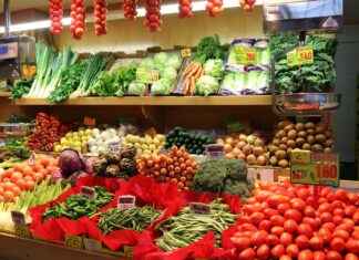 2023 Yılında Yaşlılar İçin En İyi Sebze Doğrayıcılar 2023 Yılında Yaşlılar İçin En İyi Sebze Doğrayıcılar