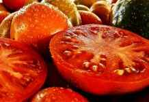 Başlangıç Seviyesi İçin En İyi 5 Sebze Doğrayıcı Başlangıç Seviyesi İçin En İyi 5 Sebze Doğrayıcı