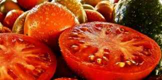 Başlangıç Seviyesi İçin En İyi 5 Sebze Doğrayıcı Başlangıç Seviyesi İçin En İyi 5 Sebze Doğrayıcı