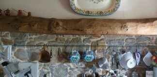 Profesyonel Mutfaklar İçin En İyi Ticari Sebze Doğrayıcılar Profesyonel Mutfaklar İçin En İyi Ticari Sebze Doğrayıcılar