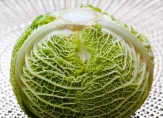 En İyi Sebze Doğrayıcılar: Mutfakta Kolaylık Sağlayan Aletler En İyi Sebze Doğrayıcılar: Mutfakta Kolaylık Sağlayan Aletler