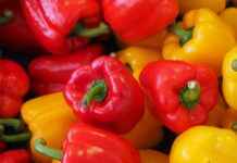 En İyi Sebze Doğrayıcılar: Sağlıklı Aşçılar İçin En İyi Sebze Doğrayıcılar: Sağlıklı Aşçılar İçin