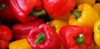 En İyi Sebze Doğrayıcılar: Sağlıklı Aşçılar İçin En İyi Sebze Doğrayıcılar: Sağlıklı Aşçılar İçin