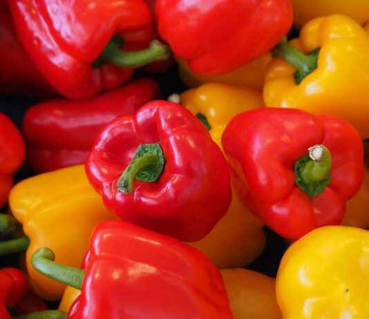 En İyi Sebze Doğrayıcılar: Sağlıklı Aşçılar İçin En İyi Sebze Doğrayıcılar: Sağlıklı Aşçılar İçin