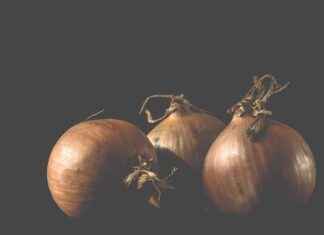 Sebze Doğrayıcı Alırken Dikkat Edilmesi Gerekenler Sebze Doğrayıcı Alırken Dikkat Edilmesi Gerekenler