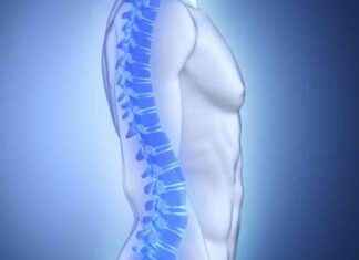 Postmenopozal Osteoporoz Tedavisinde HXTL Mekanizması Açığa Çıkarıldı postmenopozal-osteoporoz-tedavisinde-hxtl-mekanizmas-aa-karld