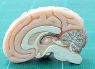 Acetaminophen’in Ağrıyı Nasıl Hafiflettiği Araştırması acetaminophenin-ary-nasl-hafiflettii-aratrmas