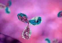 Alzheimer Tedavisinde Yeni Rehber: Anti-Amyloid Monoklonal Antikorların Kullanımı için Öneriler alzheimer-tedavisinde-yeni-rehber-anti-amyloid-monoklonal-antikorlarn-kullanm-iin-neriler