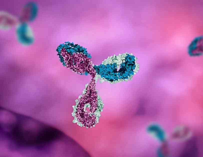 alzheimer-tedavisinde-yeni-rehber-anti-amyloid-monoklonal-antikorlarn-kullanm-iin-neriler