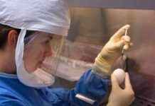 Halk Sağlığı İş Gücünün Yeniden Düşünülmesi halk-sal-i-gcnn-yeniden-dnlmesi