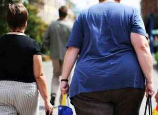 Obezitede Beta Hücre Büyümesinin Tetikleyicisi Kolon İltihabıdır obezitede-beta-hcre-bymesinin-tetikleyicisi-kolon-iltihabdr