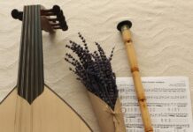 Hacamat Neye İyi Gelir? Şaşırtıcı Faydaları ve Bilinmeyenler