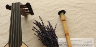 Hacamat Neye İyi Gelir? Şaşırtıcı Faydaları ve Bilinmeyenler