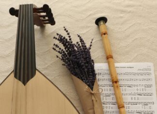 Bamya Tohumu Neye İyi Gelir? Şaşırtıcı Faydaları ve Kullanımı