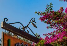 Kekik Suyu Neye İyi Gelir? Şaşırtıcı Faydaları ve Kullanımı