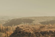 Dudak Uçuğuna Hangi Krem İyi Gelir? En Etkili Çözümler!