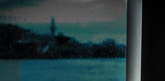 Kahve İshale İyi Gelir Mi? Şaşırtıcı Faydaları ve Gerçekler