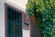 Hametan Neye İyi Gelir? Etkili Faydaları ve Doğal Çözümler