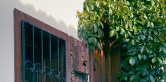 Hametan Neye İyi Gelir? Etkili Faydaları ve Doğal Çözümler