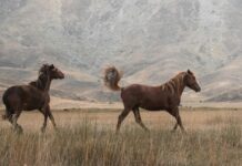 Karın Ağrısına Hangi İlaç İyi Gelir? Etkili ve Hızlı Çözümler