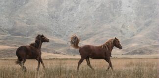 Karın Ağrısına Hangi İlaç İyi Gelir? Etkili ve Hızlı Çözümler