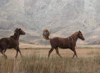 Karın Ağrısına Hangi İlaç İyi Gelir? Etkili ve Hızlı Çözümler