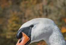 Su Gibi İshale Ne İyi Gelir? Kesin ve Doğal Çözümler!