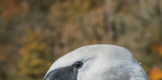 Su Gibi İshale Ne İyi Gelir? Kesin ve Doğal Çözümler!