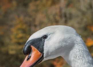 Su Gibi İshale Ne İyi Gelir? Kesin ve Doğal Çözümler!