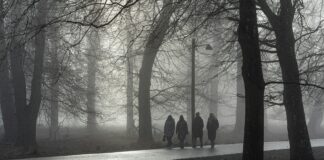 Arveles Diş Ağrısına İyi Gelir Mi? Şaşırtıcı Gerçekler!