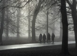 Arveles Diş Ağrısına İyi Gelir Mi? Şaşırtıcı Gerçekler!