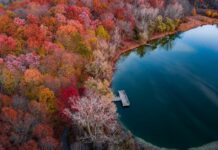 Süt Mide Yanmasına İyi Gelir Mi? Şaşırtıcı Gerçekler Açıklıyor