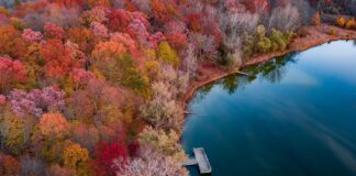 Süt Mide Yanmasına İyi Gelir Mi? Şaşırtıcı Gerçekler Açıklıyor
