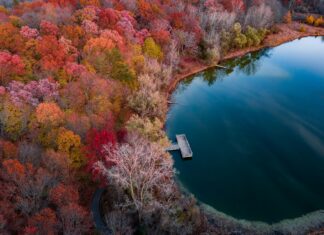 Süt Mide Yanmasına İyi Gelir Mi? Şaşırtıcı Gerçekler Açıklıyor
