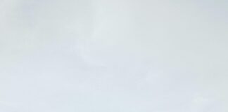 Böbrek Ağrısına Hangi Ağrı Kesici İyi Gelir? Etkili Çözümler