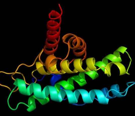 Yeni Alzheimer ilacı fare modellerinde toksik proteinleri azaltır ve hafızayı geliştirir yeni-alzheimer-ilac-fare-modellerinde-toksik-proteinleri-azaltr-ve-hafzay-gelitirir